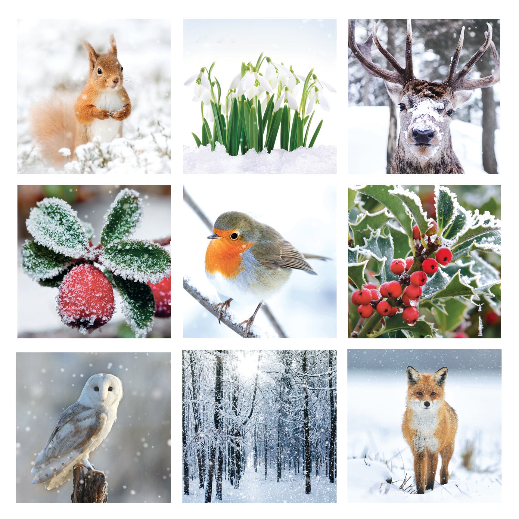 Snowy montage, pack of 10 cards