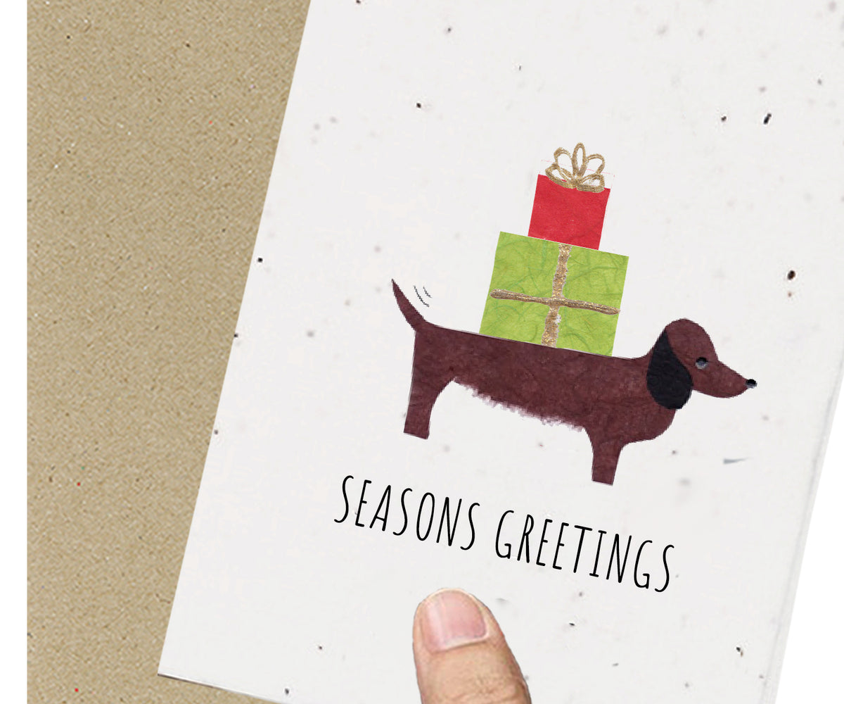 Eco Seed festive sausage dog  - Single Card