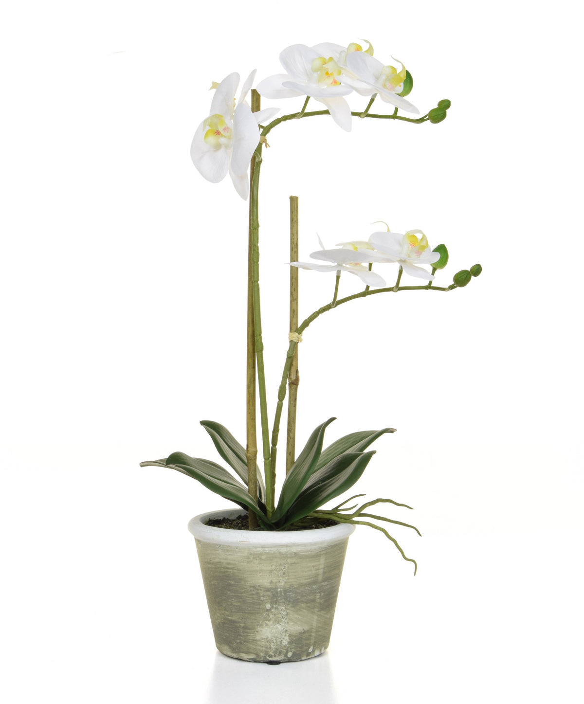 Feel-real Orchid - white