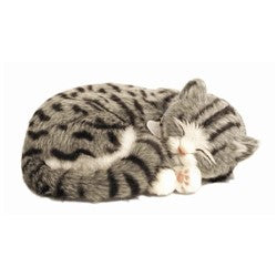 Precious Petzzz - Grey Tabby Cat